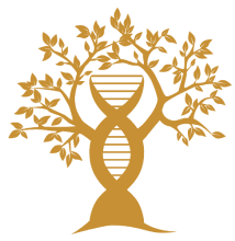EVEXIAS Hormone Replacement Therapy